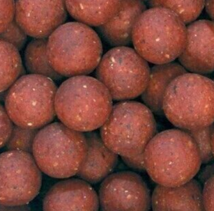 Homemade fishmeal carp boilies - Carnivore Blend recipe ingredients and finished bait