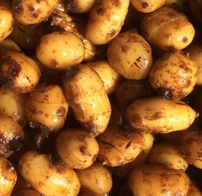 Wysokoproteinowe Orzechowe Kulki 