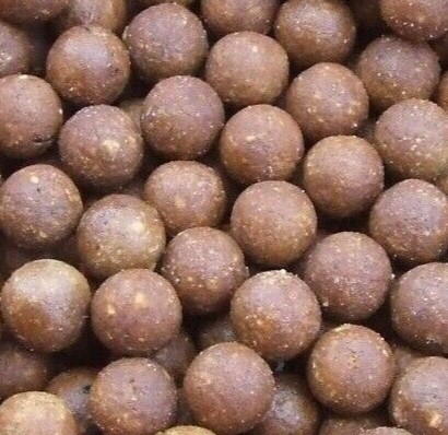 Salmon Carp Boilies